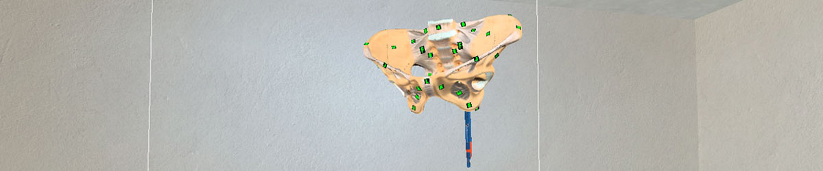 Picture of an anatomy research project I worked on.